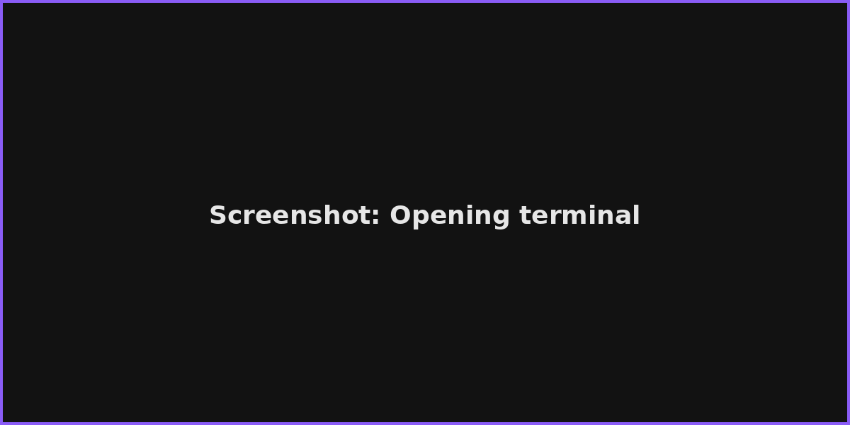 Screenshot: Opening terminal